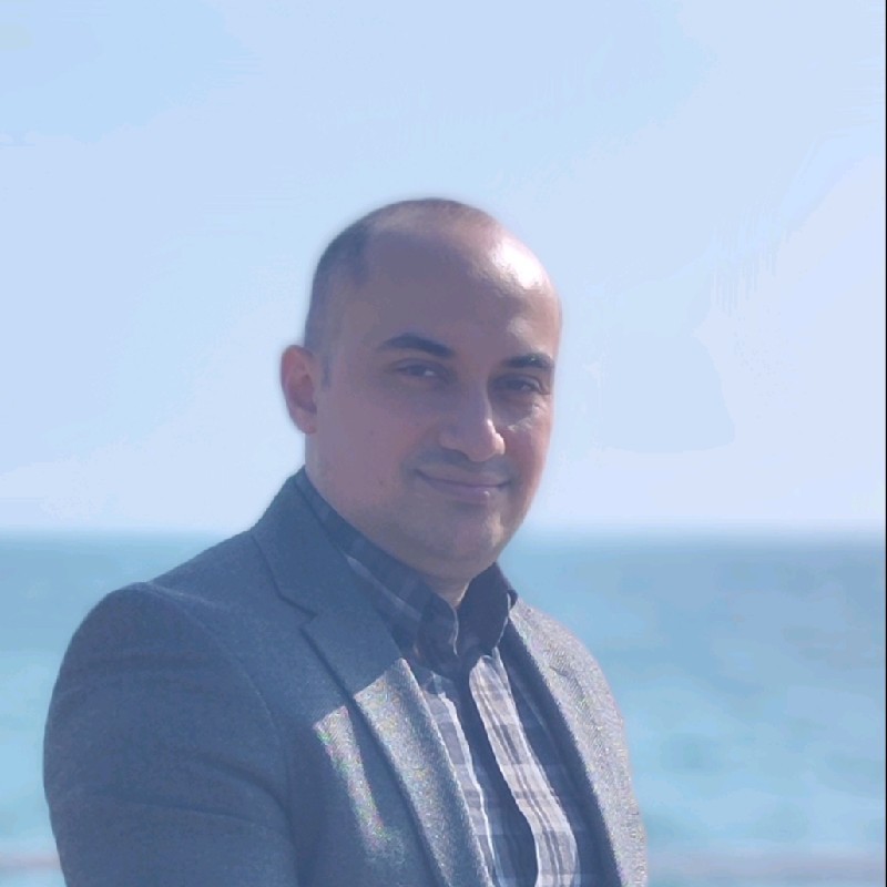 Majid Ismailov company